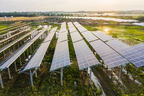 Centrale solaire au sol agrivoltaïque